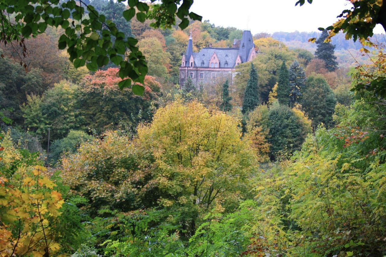 Вілла Landhaus Schlossblick Занґергаузен Екстер'єр фото